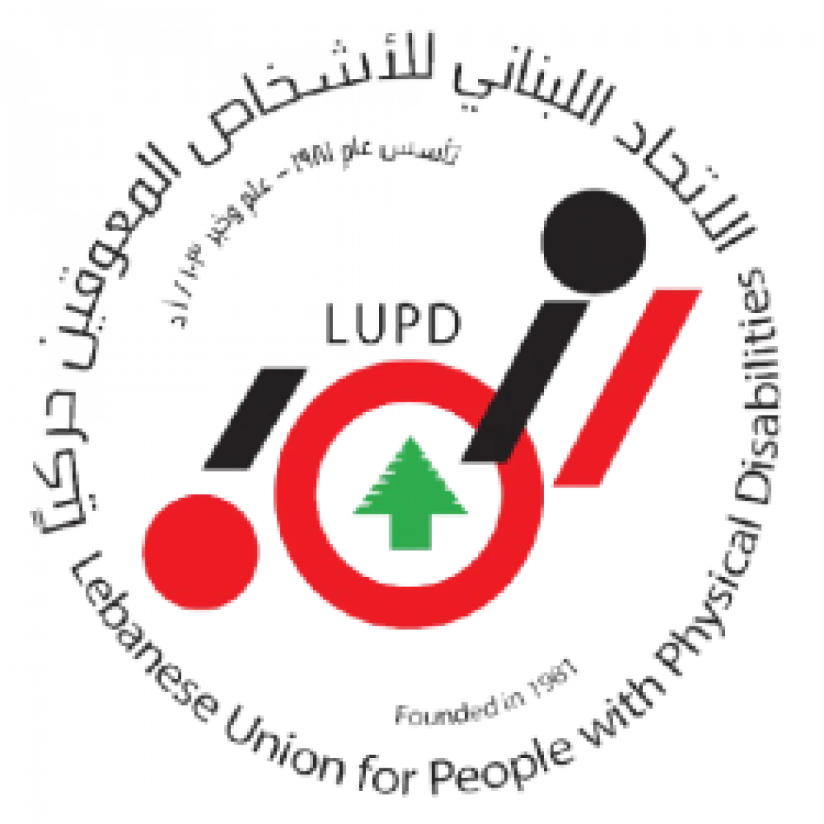 Lebanese Union for Persons with Disabilities