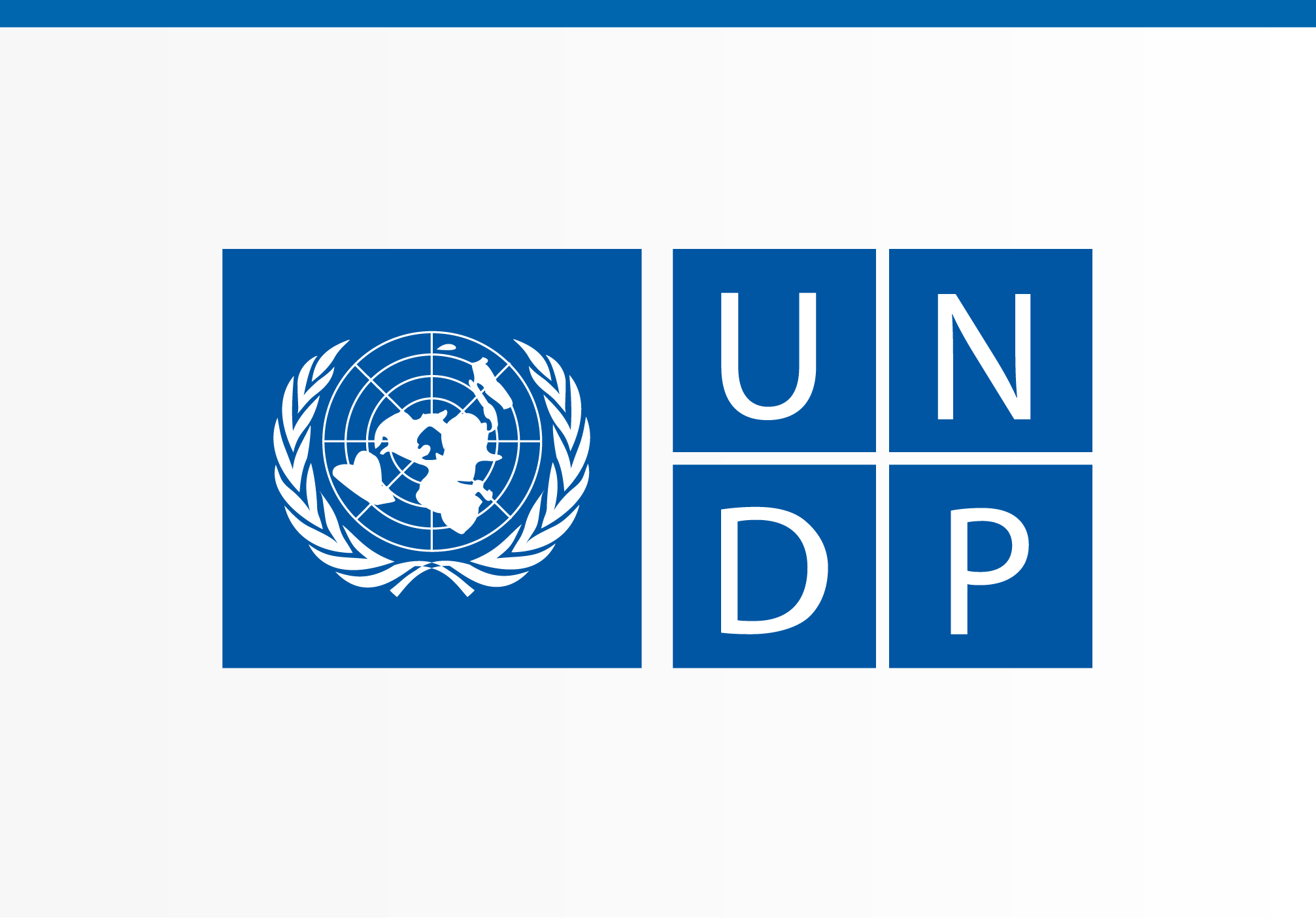 Finance Training- Capacity building Project for Kirkuk Governorate Directorates